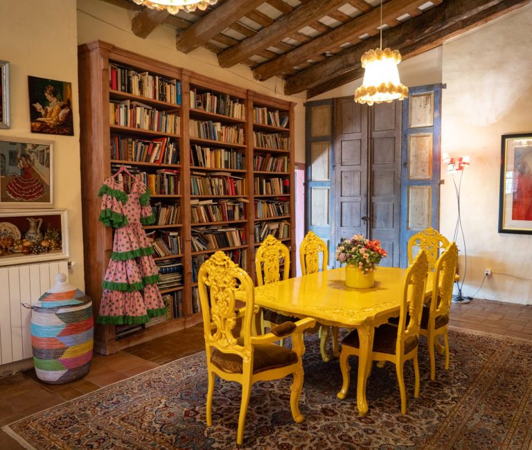 Bibliotheek Zigeunerin en Blauwe Spiegel