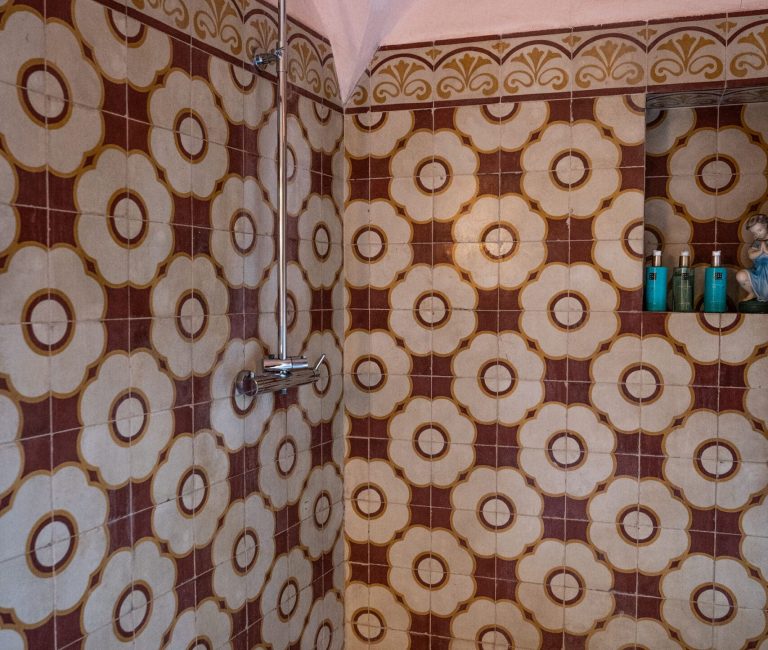 Roze Doos in Can Portell