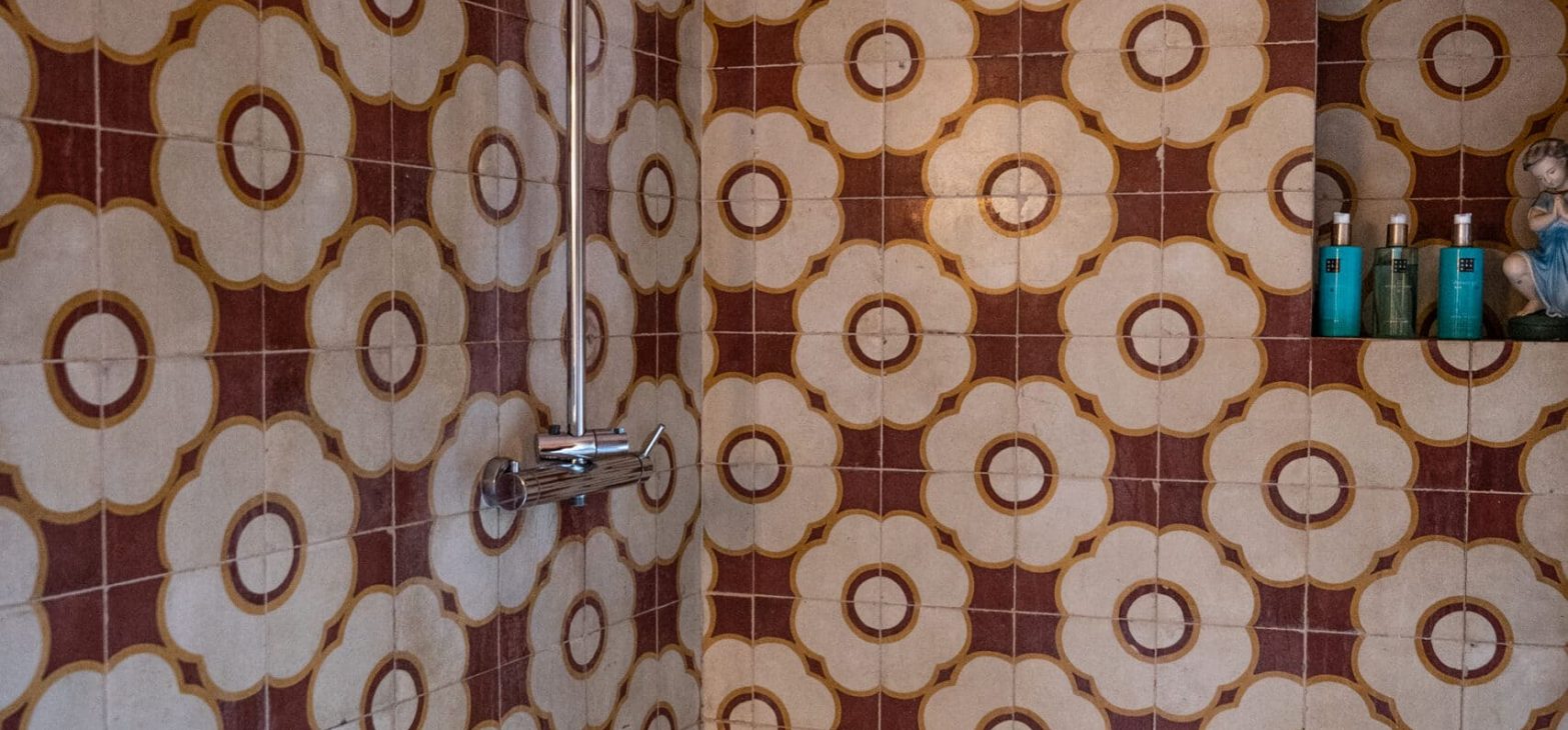 Roze Doos in Can Portell